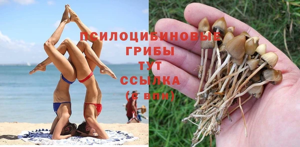 дистиллят марихуана Алзамай