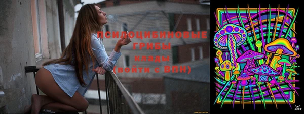 ГАЛЛЮЦИНОГЕННЫЕ ГРИБЫ Алексин