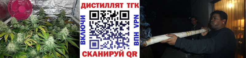 магазин продажи   Асино  Дистиллят ТГК концентрат 