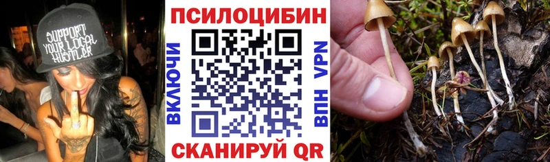 Псилоцибиновые грибы Psilocybine cubensis  Асино 